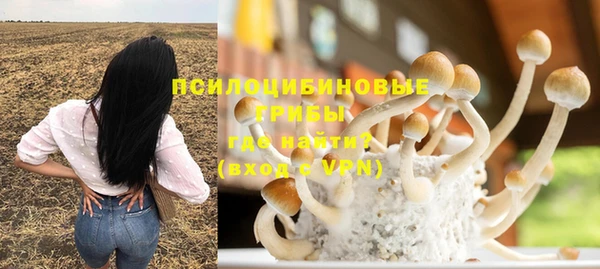 сатива Майский