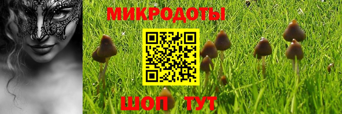 Псилоцибиновые грибы мицелий Шадринск