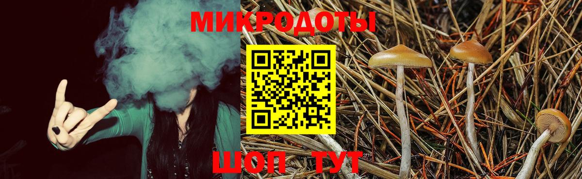 Галлюциногенные грибы Psilocybine cubensis  дарнет шоп  Шадринск 