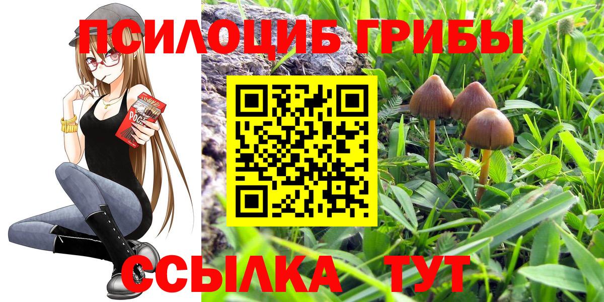 Шадринск  наркотики  Вход с VPN  Галлюциногенные грибы ЛСД 
